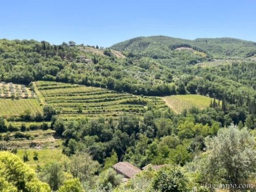 Greve in Chianti (Montefioralle)
